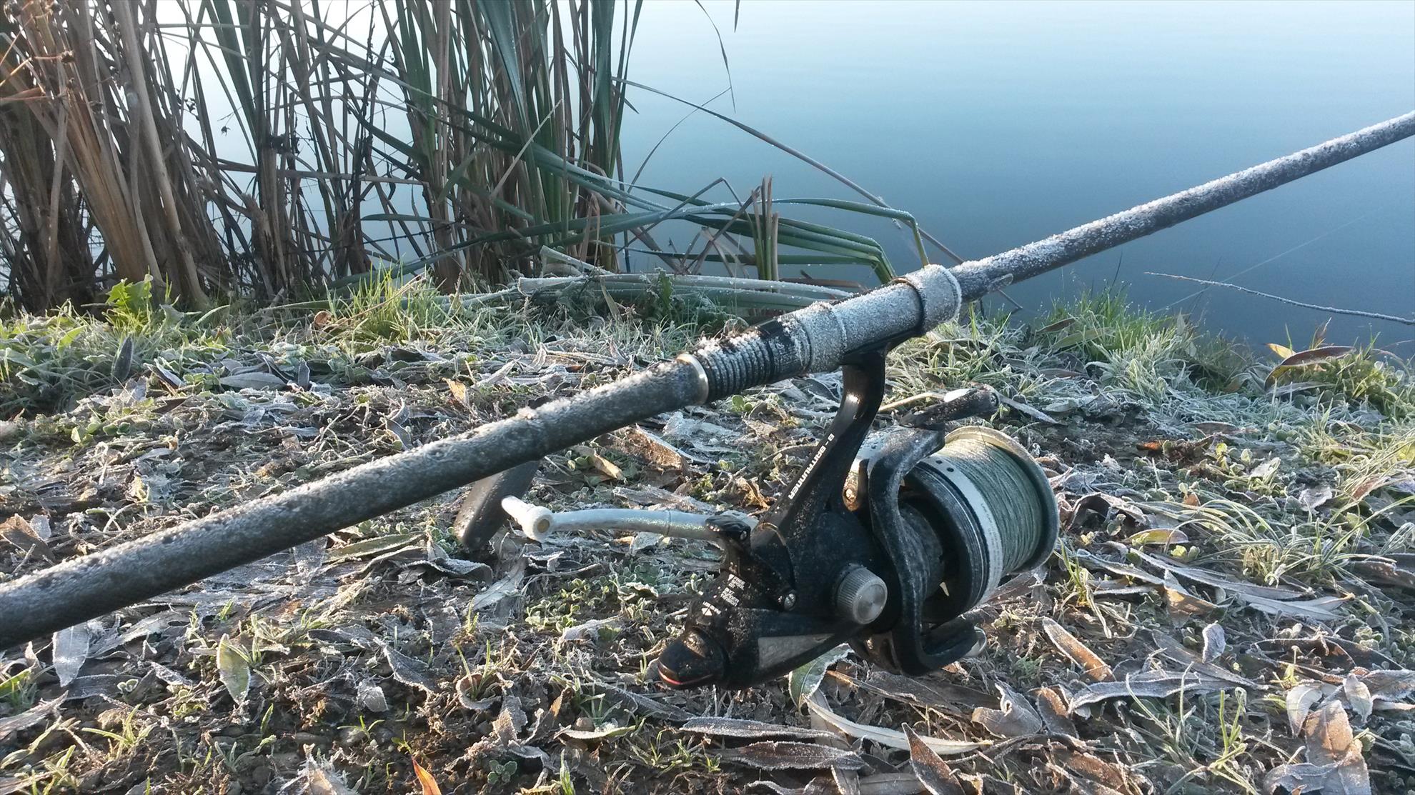 diverse - Caldura mare....